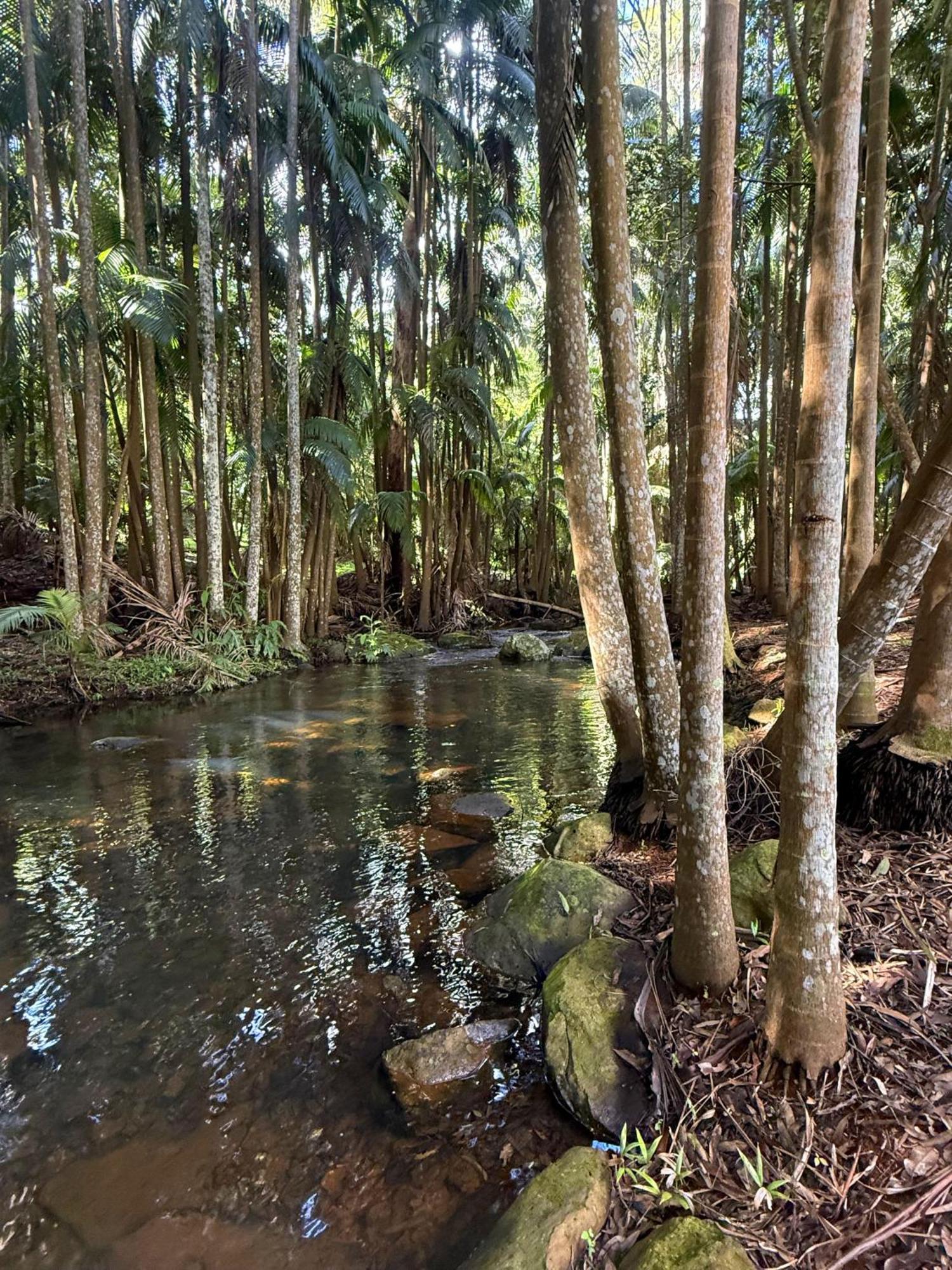 Mt Tamborine Stonehaven pensión Gold Coast Exterior foto