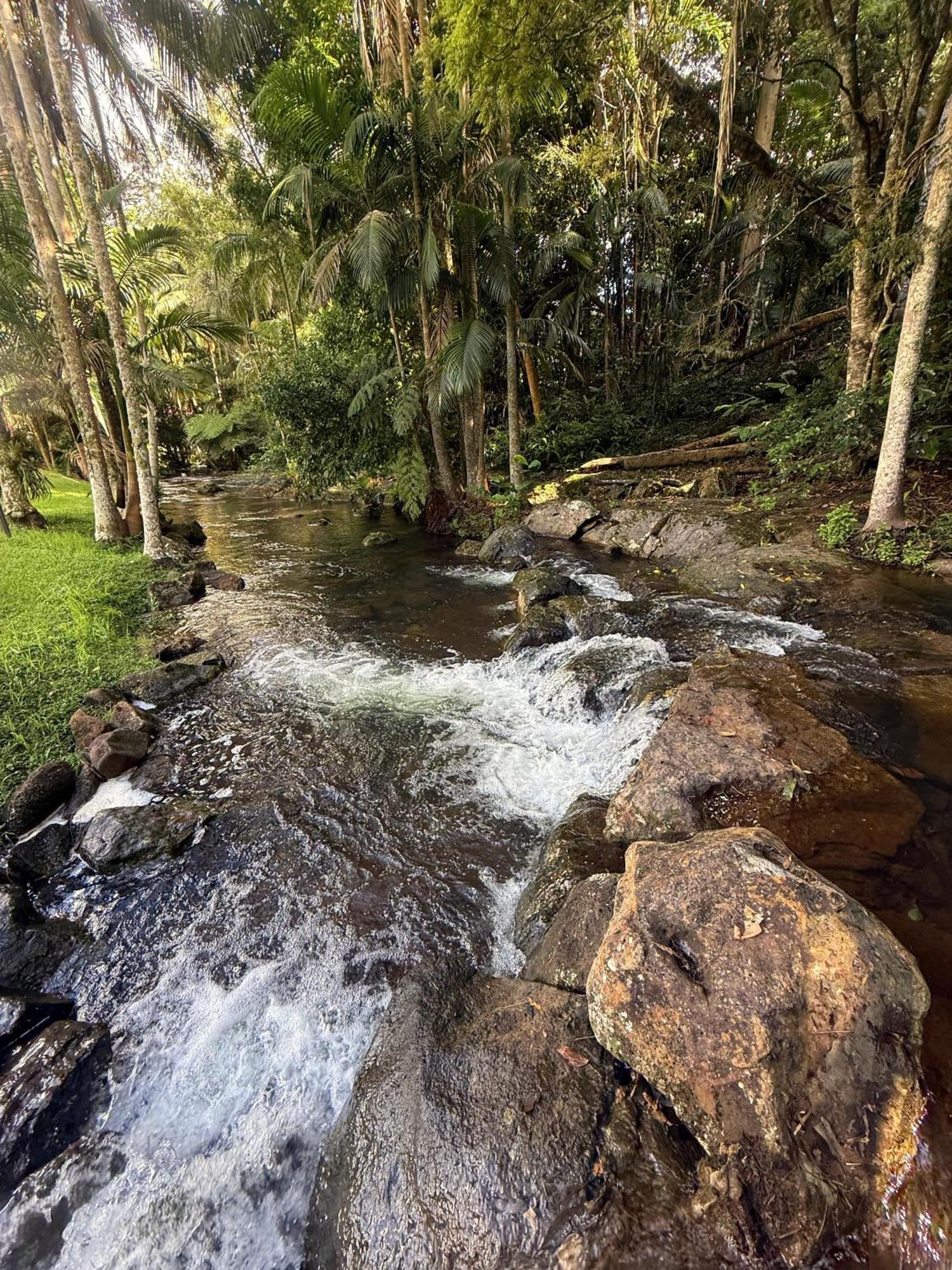 Mt Tamborine Stonehaven pensión Gold Coast Exterior foto